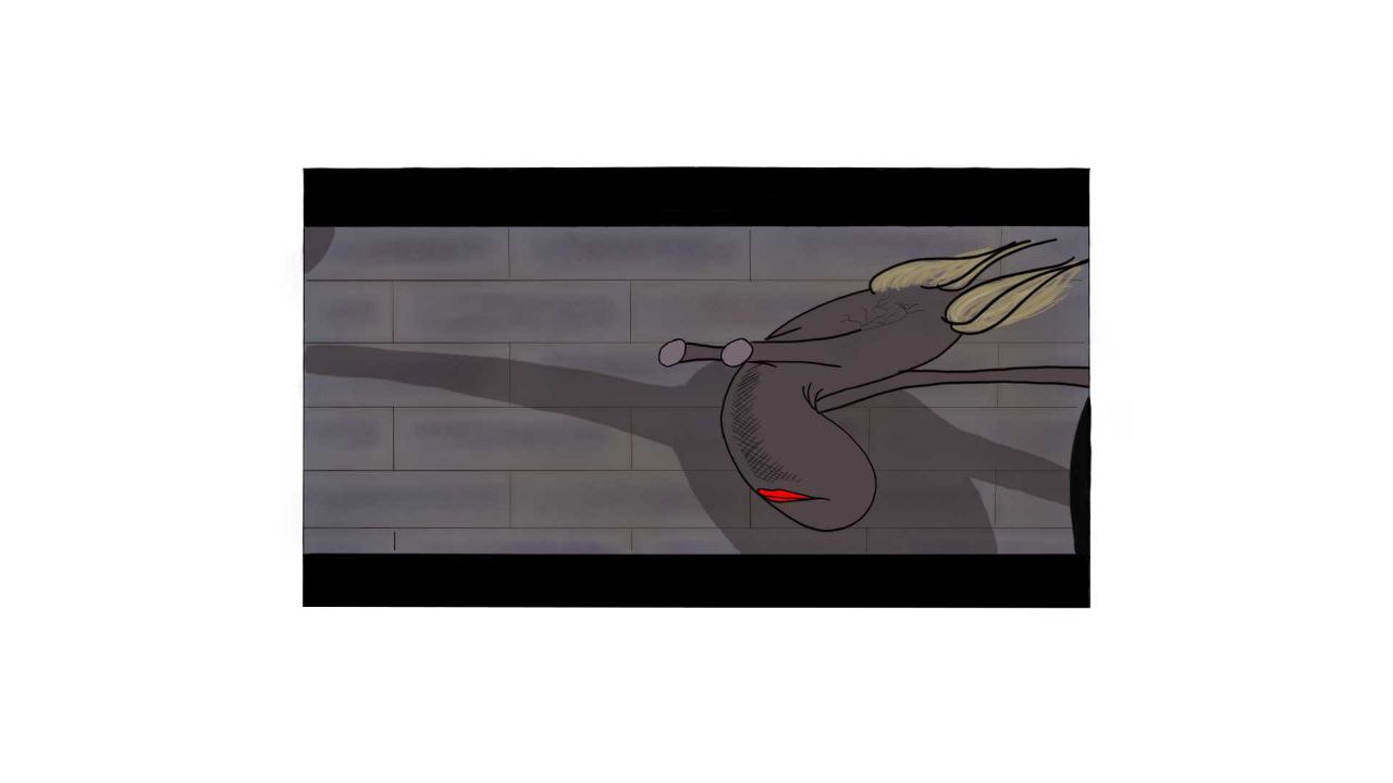 Frame 11