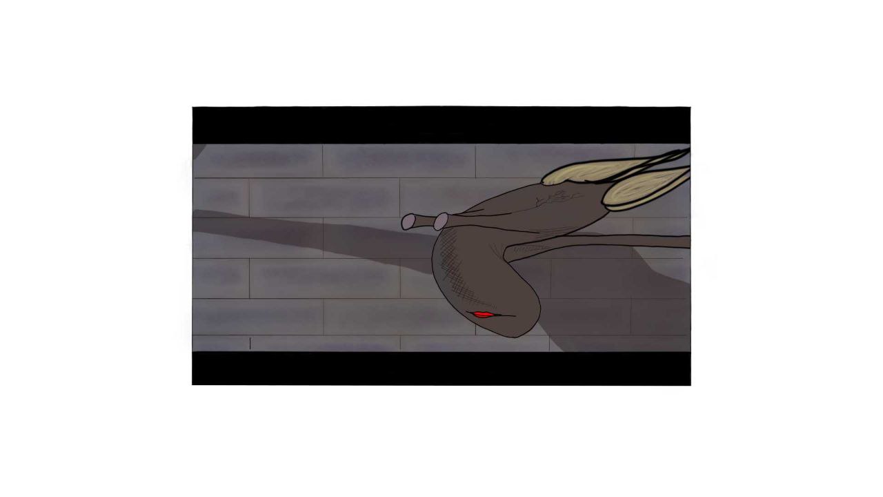 Frame 12