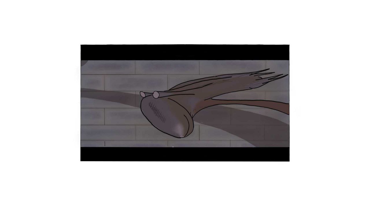 Frame 15